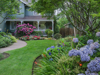 landscaping service Oakdale MN