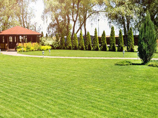 Lawn Care Oakdale MN