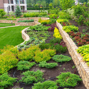 landscaping services in Oakdale MN